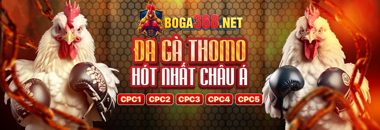 Đánh giá độ uy tín của 7clubs